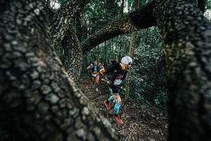 BIB: 
                            <button type="button" onclick="openModal(25391985)" class="btn btn-primary btn-sm float-right btn-popup" data-toggle="modal" data-target=".modal-high-quality">
                        <i class="fas fa-shopping-cart"></i> Add to Cart
                    </button>
                                            <button type="button" onclick="isThisMe(25391985, true)" class="btn btn-success btn-sm float-right btn-popup btn-isme hidden" data-toggle="tooltip" data-placement="bottom" title="นี่คือรูปของคุณใช่ไหม คลิกที่นี่เพื่อเอาเข้าอัลบั้ม">
                        <i class="fas fa-plus"></i> Add to album
                    </button>
                    <button type="button" onclick="isThisMe(25391985, false)" class="btn btn-warning btn-sm float-right btn-popup btn-isnotme hidden">
                        <i class="fas fa-ban"></i> Remove from album
                    </button>